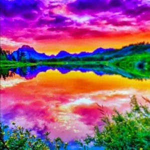 Meet your Posher, Debbie